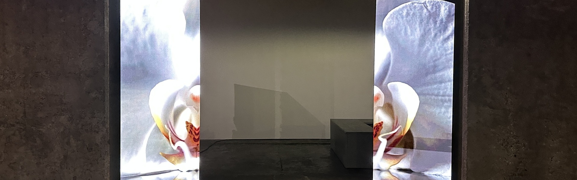 Zwei freistehende LED Stelen mit hochauflösendem Vanilleblüten Motiv in der Frontansicht